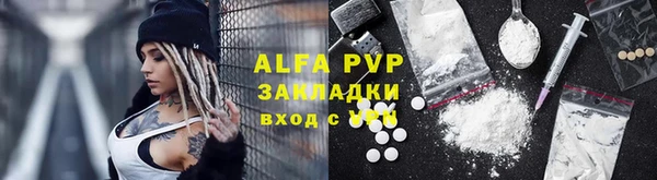 прущие грибы Волоколамск