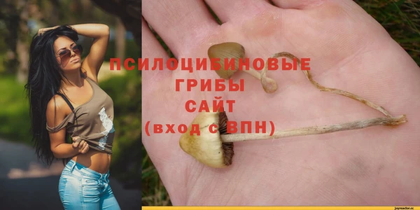 а пвп мука Протвино